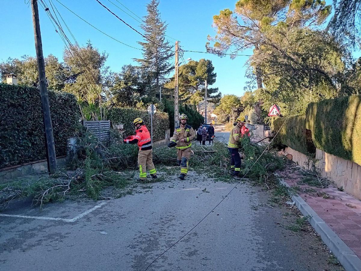 Els Bombers treballant a Collbató per retirar un arbre caigut al carrer i sobre les línies elèctriques