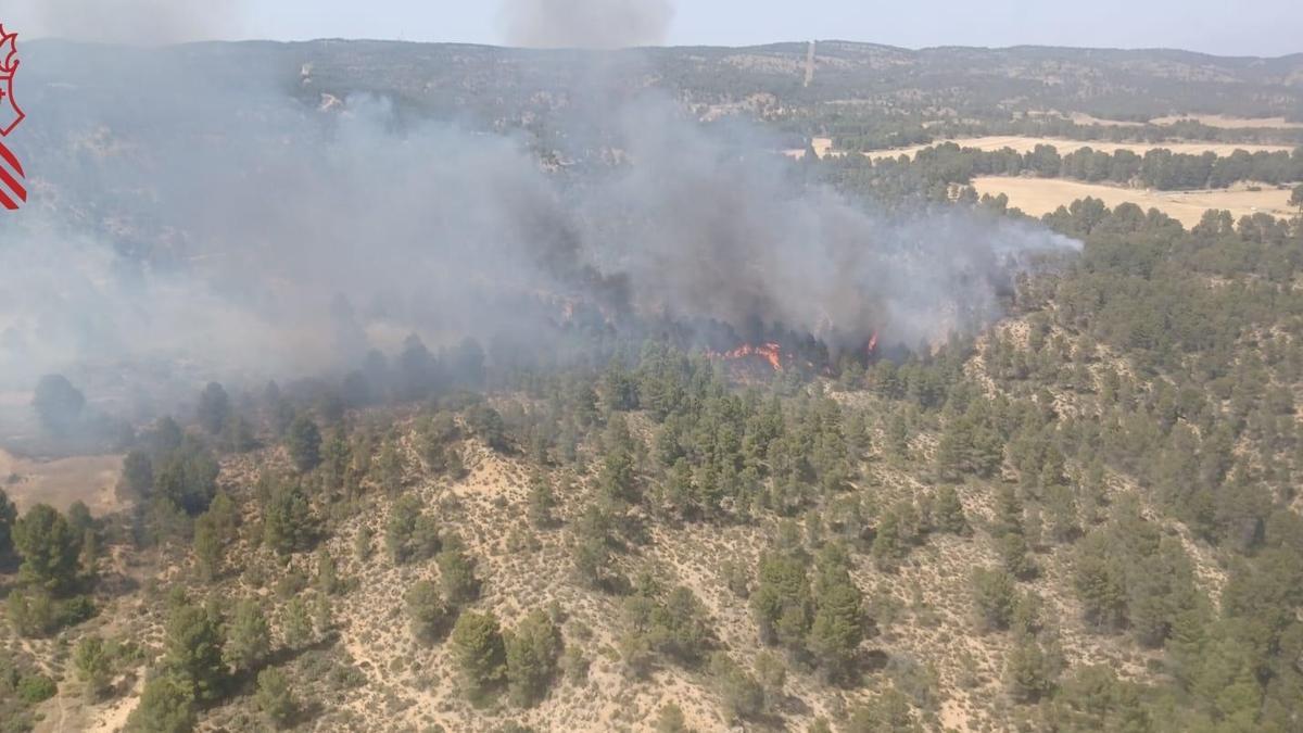 Incendio forestal Venta del Moro