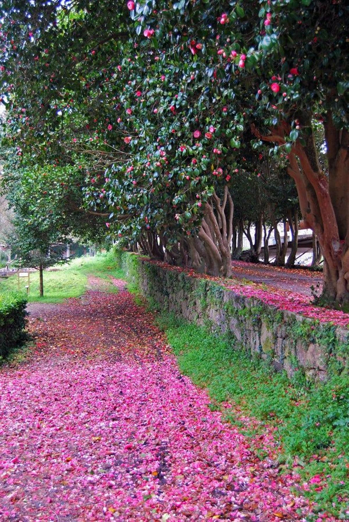 Pazo de Lourizán