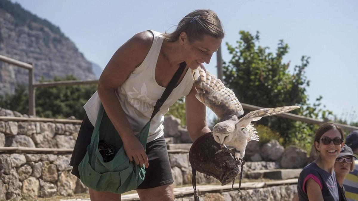 El vol de l’òliba, al Zoo del Pirineu, captiva els visitants