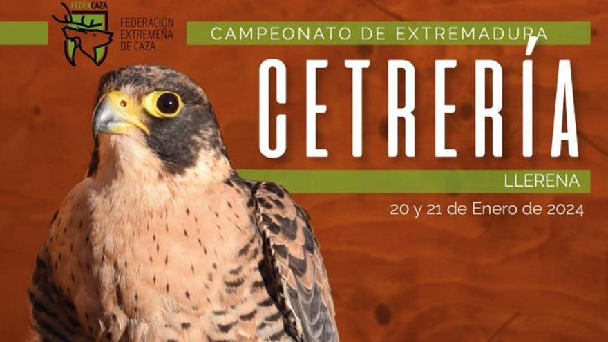 Llerena se convierte este fin de semana en el epicentro de la cetrería