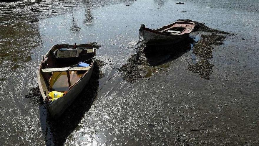 Zona de la ría de O Burgo con una elevada acumulación de lodos.