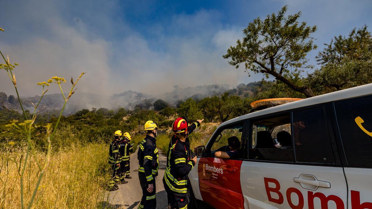 Varios bomberos se coordinan durante el incendio en la Vall d&#039;Ebo, esta semana.