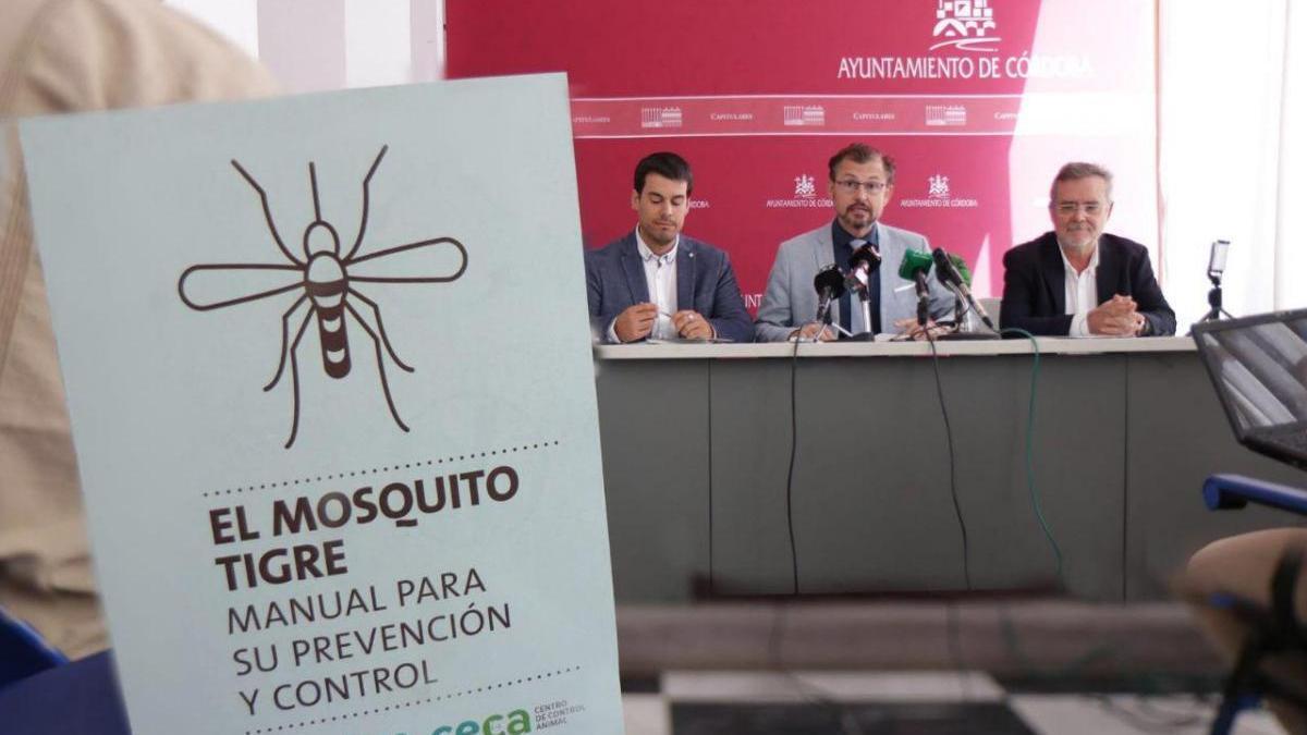 Mosquito tigre en Córdoba: Sadeco detecta su presencia en 187 viviendas de la zona norte
