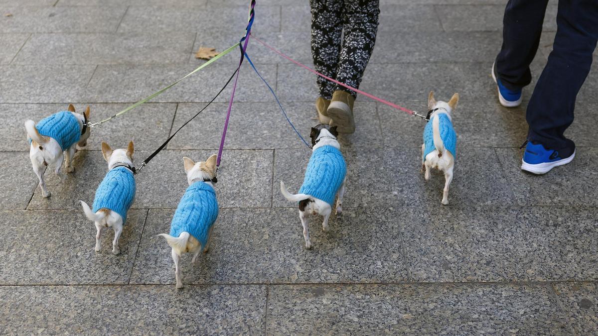 El martes, la influencia de dos frentes dejará lluvias débiles en casi toda la península
