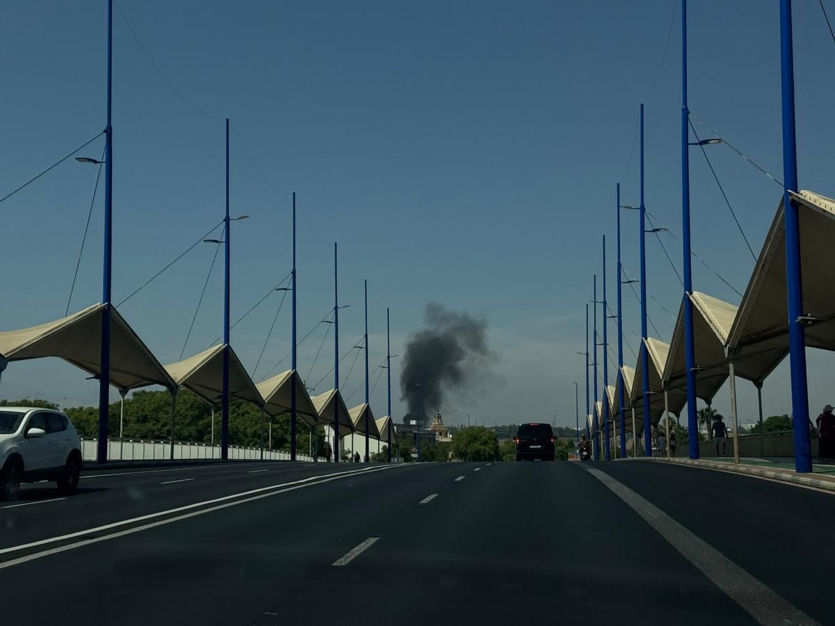 Una columna de humo por un incendio de vegetación entre Sevilla y Camas