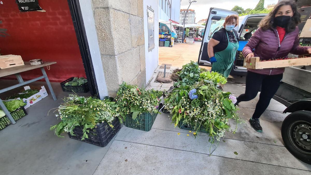 Las hierbas a las puertas del mercado de la verdura.