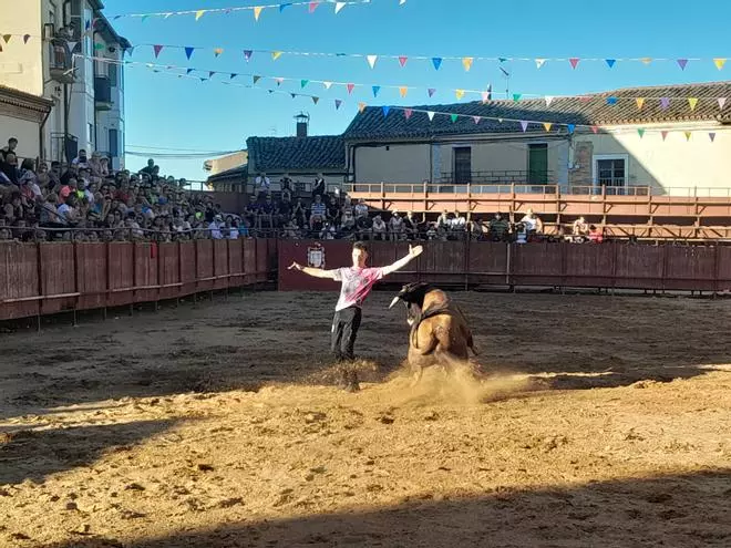 GALERÍA | Exhibición de cortes, quiebros y saltos en Morales de Toro