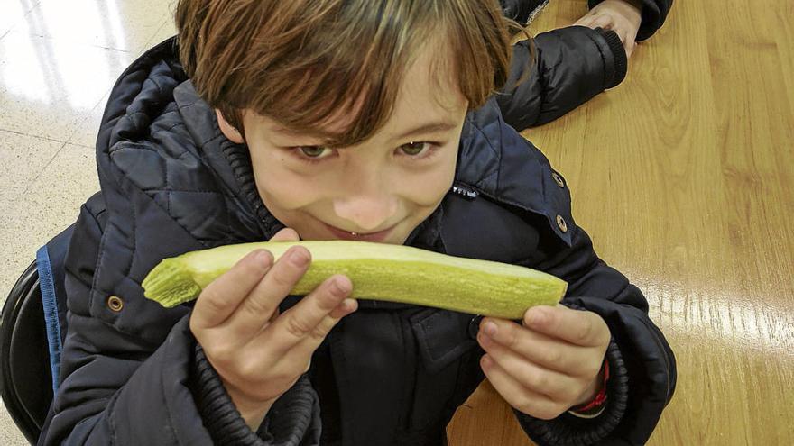 Al mercat per descobrir què menjam