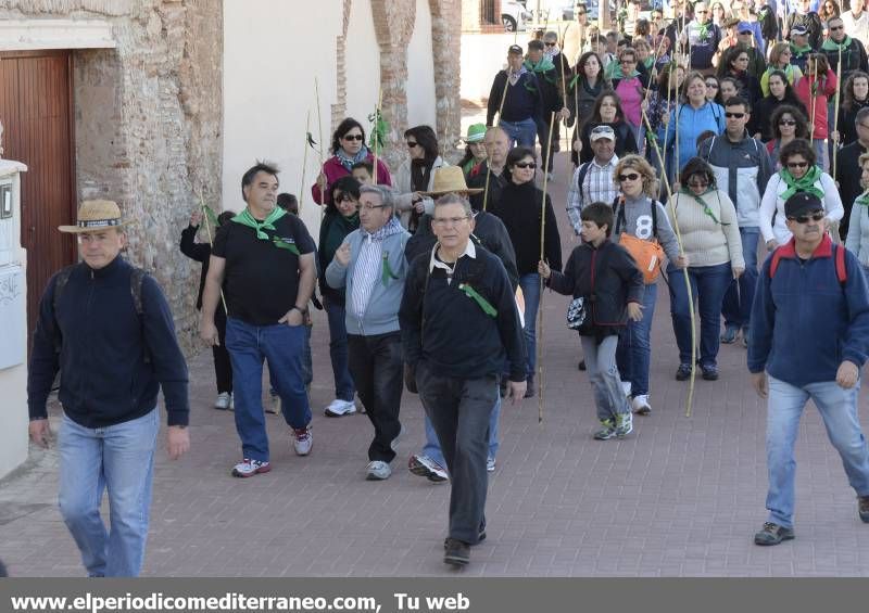 GALERÍA DE FOTOS - Romería Magdalena 2014 (2)