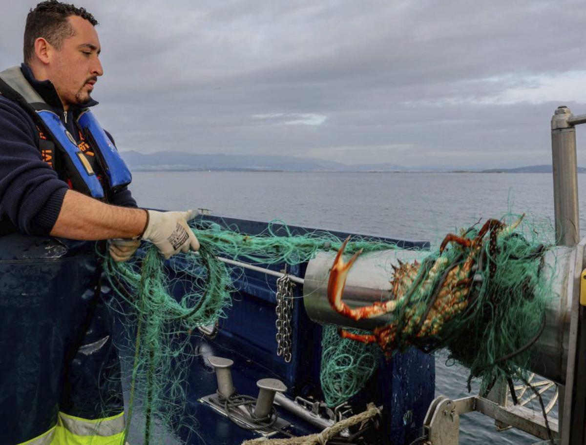 Recuperación de redes ilegales,
 algunas con centollos
«enmallados». |  Abella