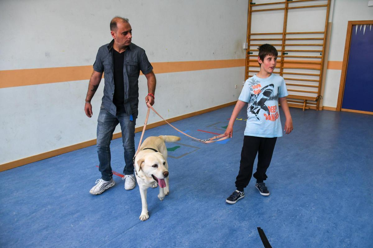 Terapia con perros en el colegio Virgen del Castillo de Zamora