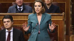 El PP justifica la seva abstenció malgrat la «Nació Catalana» de Tamames: «Estem a final de legislatura»