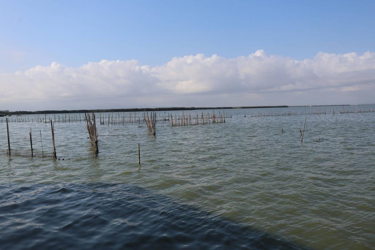 VALENCIA VLC IMÁGENES DE LA ALBUFERA