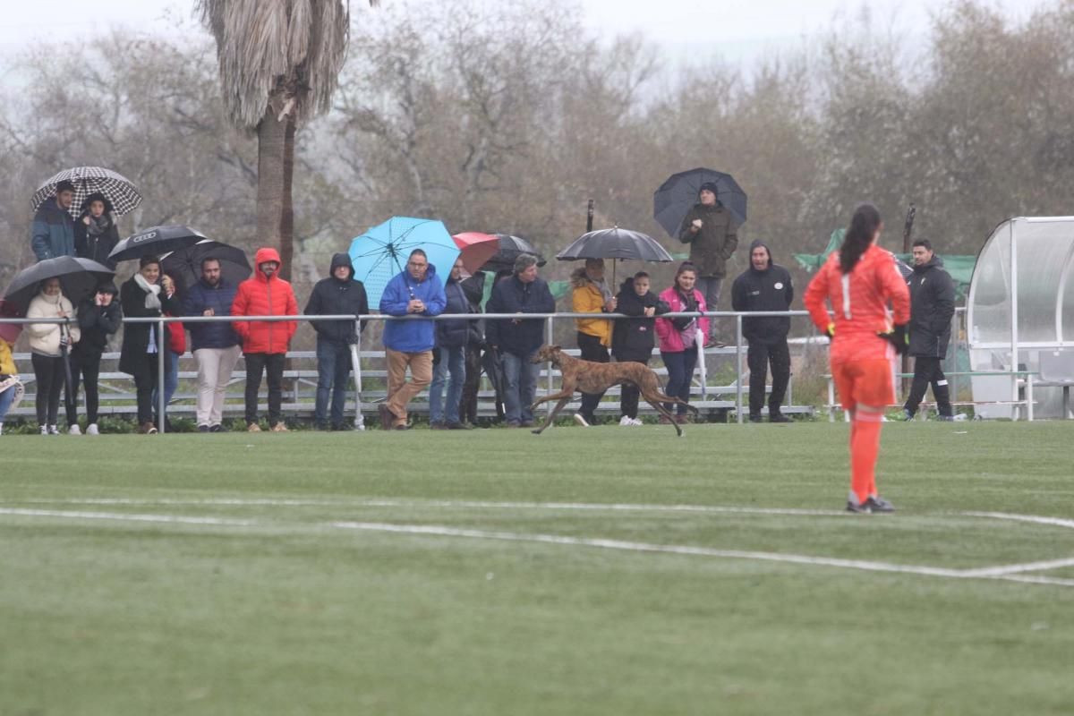 Emoción en el derbi femenino entre Córdoba y Pozoalbense