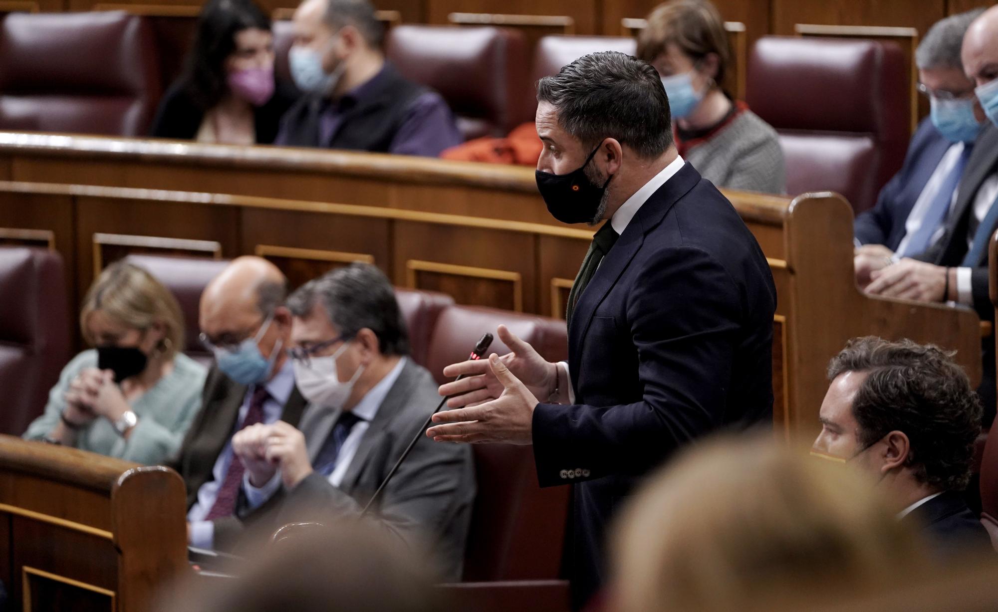 Santiago Abascal en el pleno del Congreso.