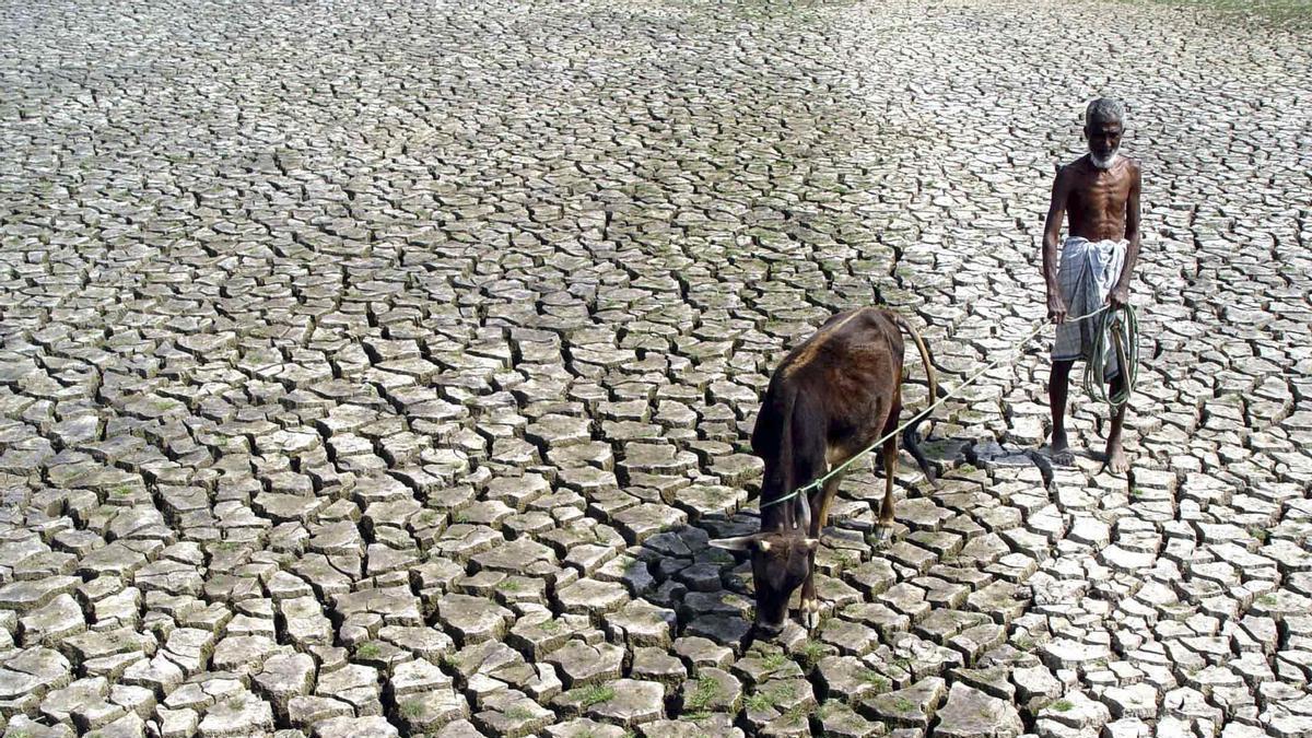 Agricultor afectado por el cambio climático en la india.