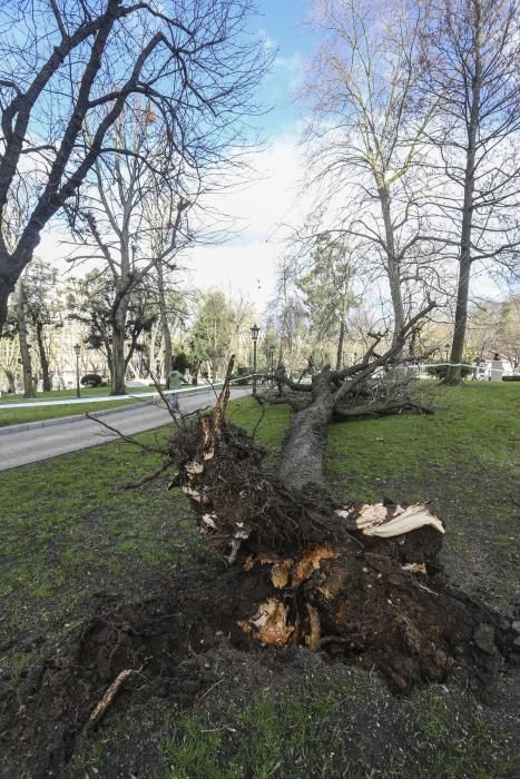 Temporal de viento y oleaje en Asturias