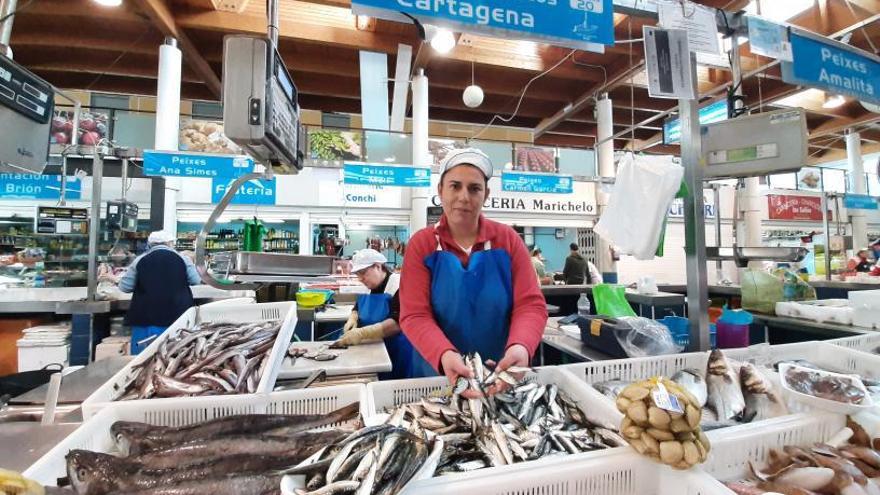 El cerco comienza la campaña de la sardina con grandes capturas de “xouba”