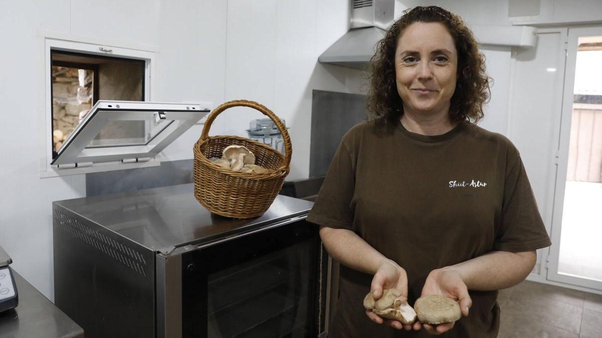 María Monge, una sevillana que ve futuro en el bosque asturiano con el cultivo de setas de la especie shiitake