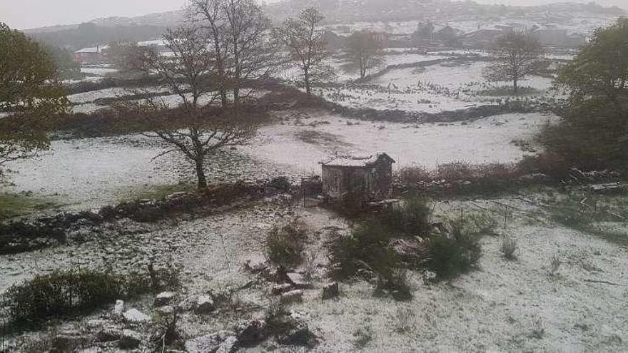 Paraje nevado en Pigarzos, en el municipio de A Lama. // FdV