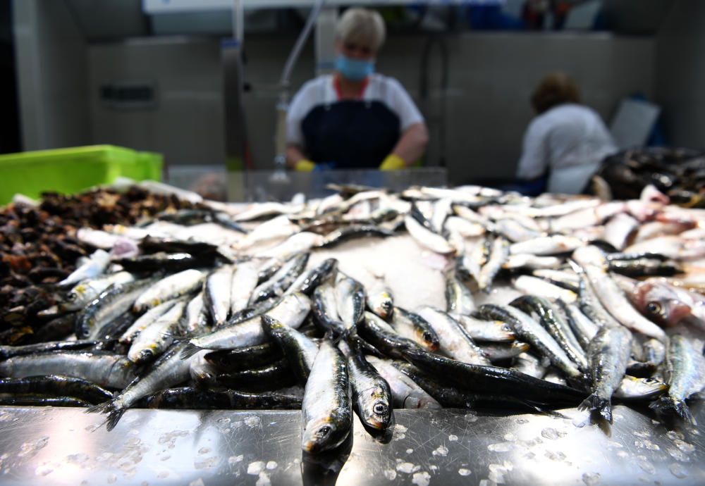 San Juan A Coruña 2020 | Sin hogueras, pero con sardinas