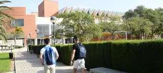 El Consejo de Universidades da luz verde al Máster del Profesorado de la Universidad Miguel Hernández