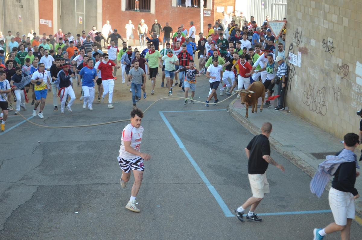 La carrera del Torito del Alba "Ganadora", de Benavente, en imágenes