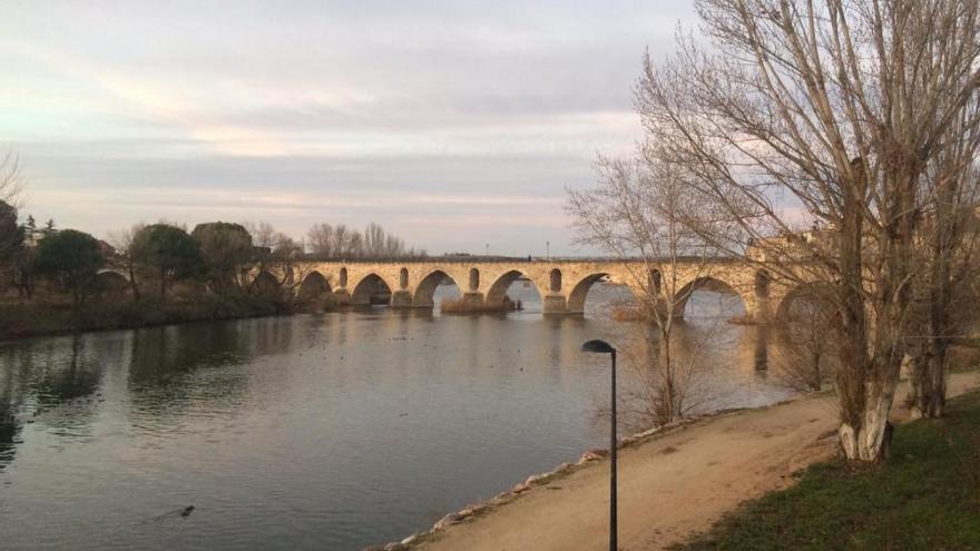 El río Duero a su paso por el puente de piedra de Zamora, esta mañana.