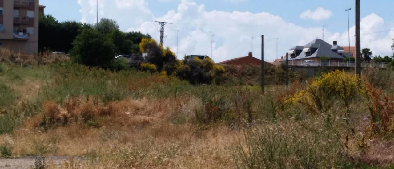 Un solar en Benavente. | E. P.