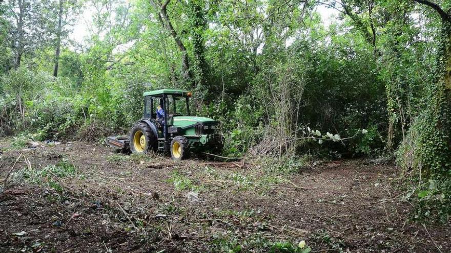 Un tractor trabajaba ayer en la limpieza de los terrenos propiedad de Abanca en O Salgueirón. // G. Núñez