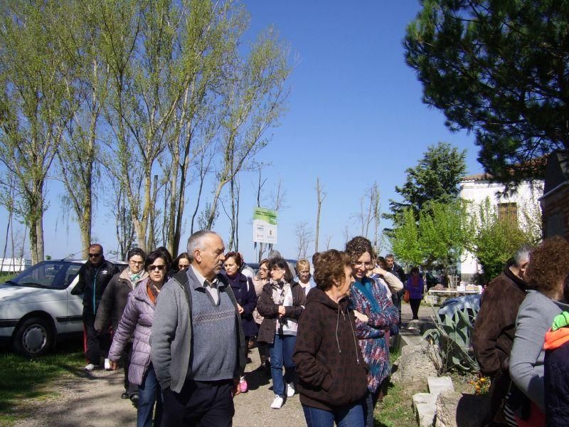 Celebración de San Marcos en la provincia