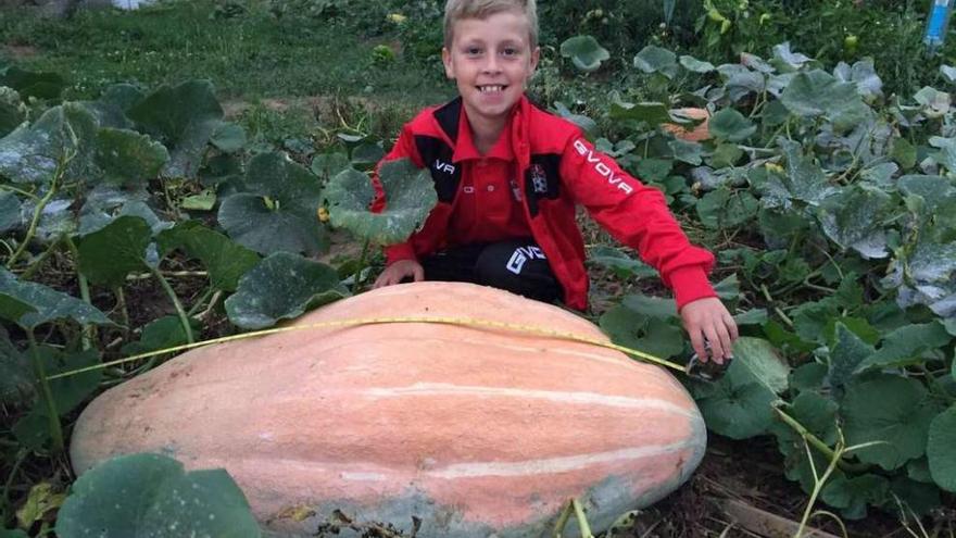 La calabaza que pudo ser el carruaje de Cenicienta - Faro de Vigo