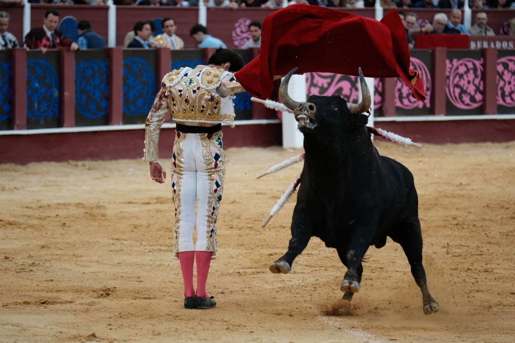 Corrida Picassiana celebrada en La Malagueta