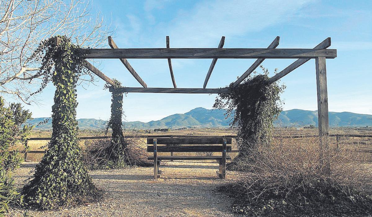 Benissuera, en la huerta del Albaida