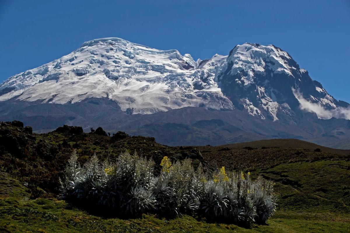 La cobertura glaciar del volcán Antisana, Ecuador.