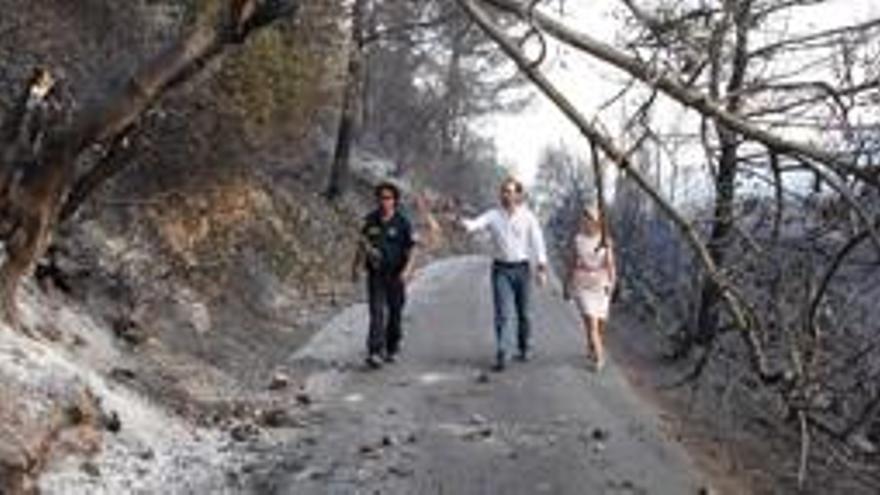El president Bauzá visitant les zones calcinades per l&#039;incendi d&#039;Andratx | GIB