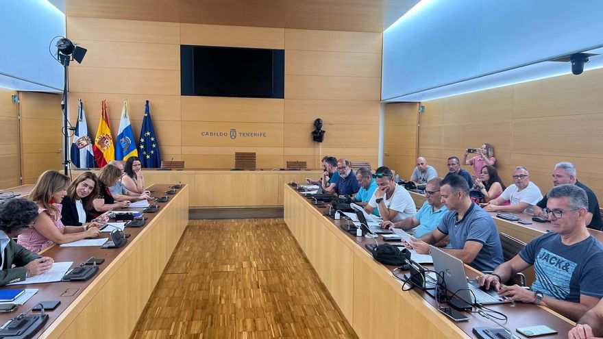 Un acuerdo entre los trabajadores del tranvía, Metropolitano y el Cabildo  de Tenerife pone fin a la huelga