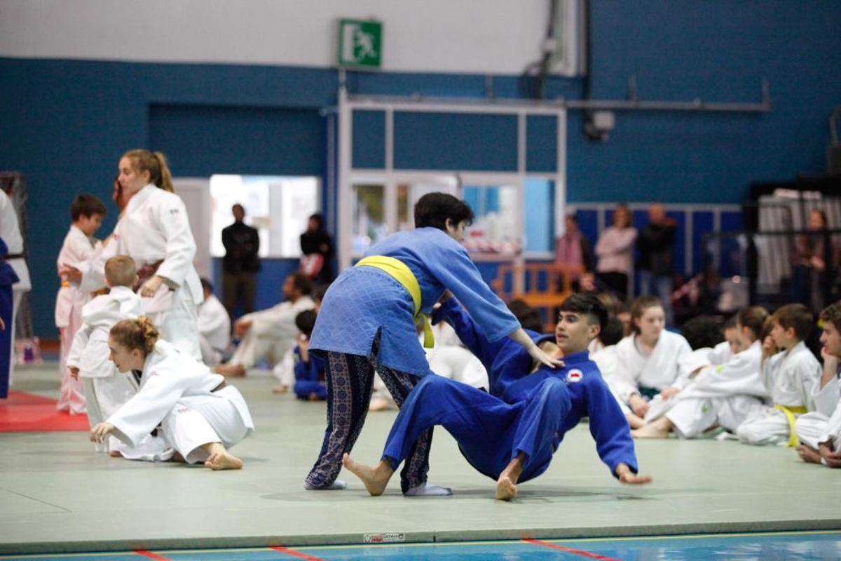 El proyecto arrancó en 2017 y cuenta ya con una veintena de deportistas