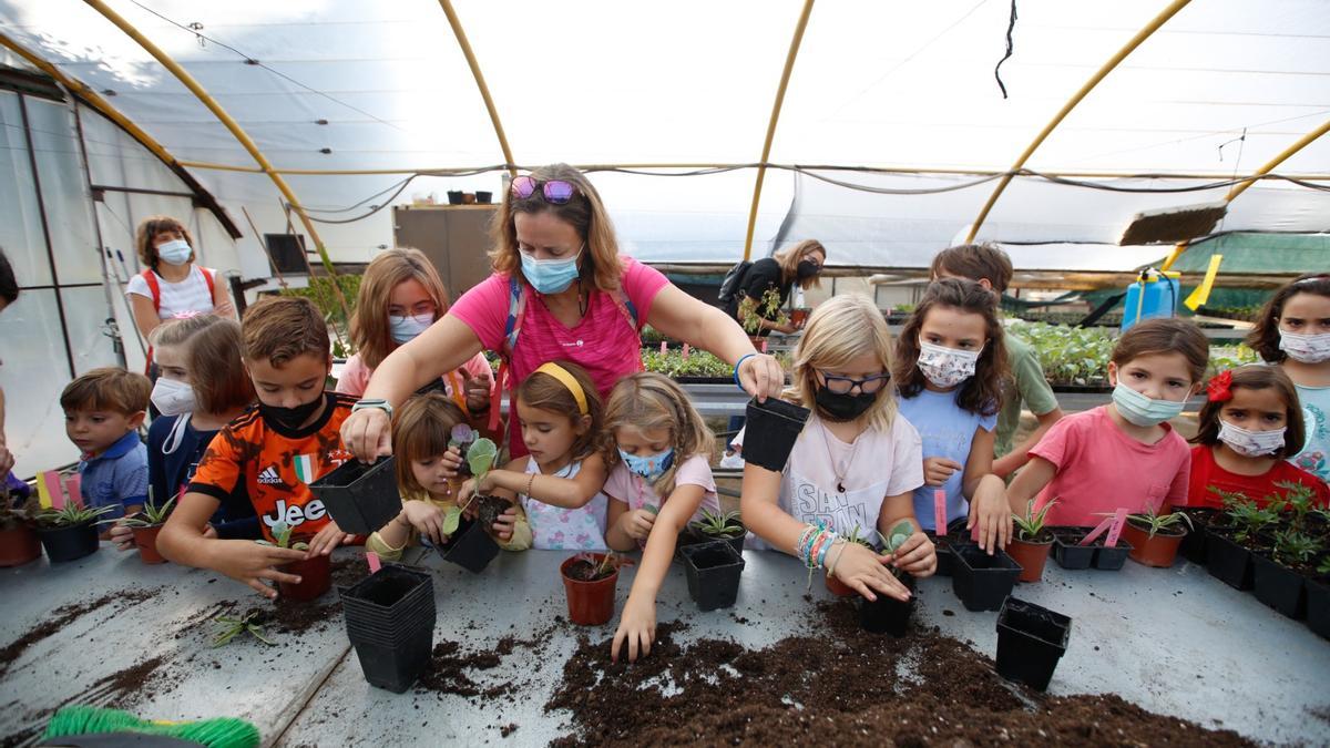 Un grupo de niños aprende a plantar durante un taller de Flora