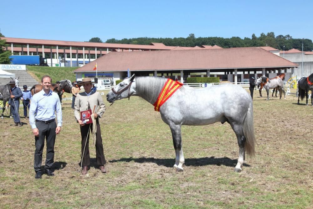 Resuelto Cen, campeón absoluto de PRE.