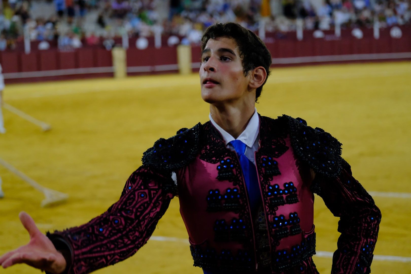 XVI Certamen Internacional de Escuelas Taurinas La Malagueta