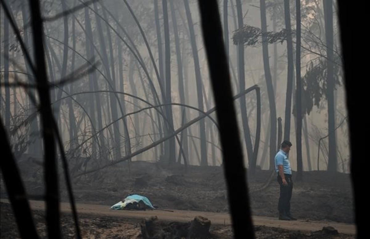 abertran38939657 a policeman stands by a dead body of a victim of a wildfire 170618115509