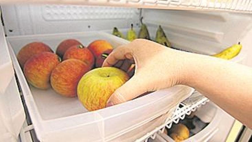 Implantan un plan para favorecer el consumo de fruta entre funcionarios