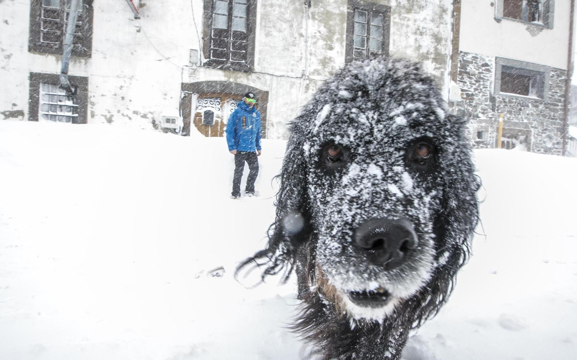 El invierto asturiano tiene su encanto: las 40 fotos que lo demuestran