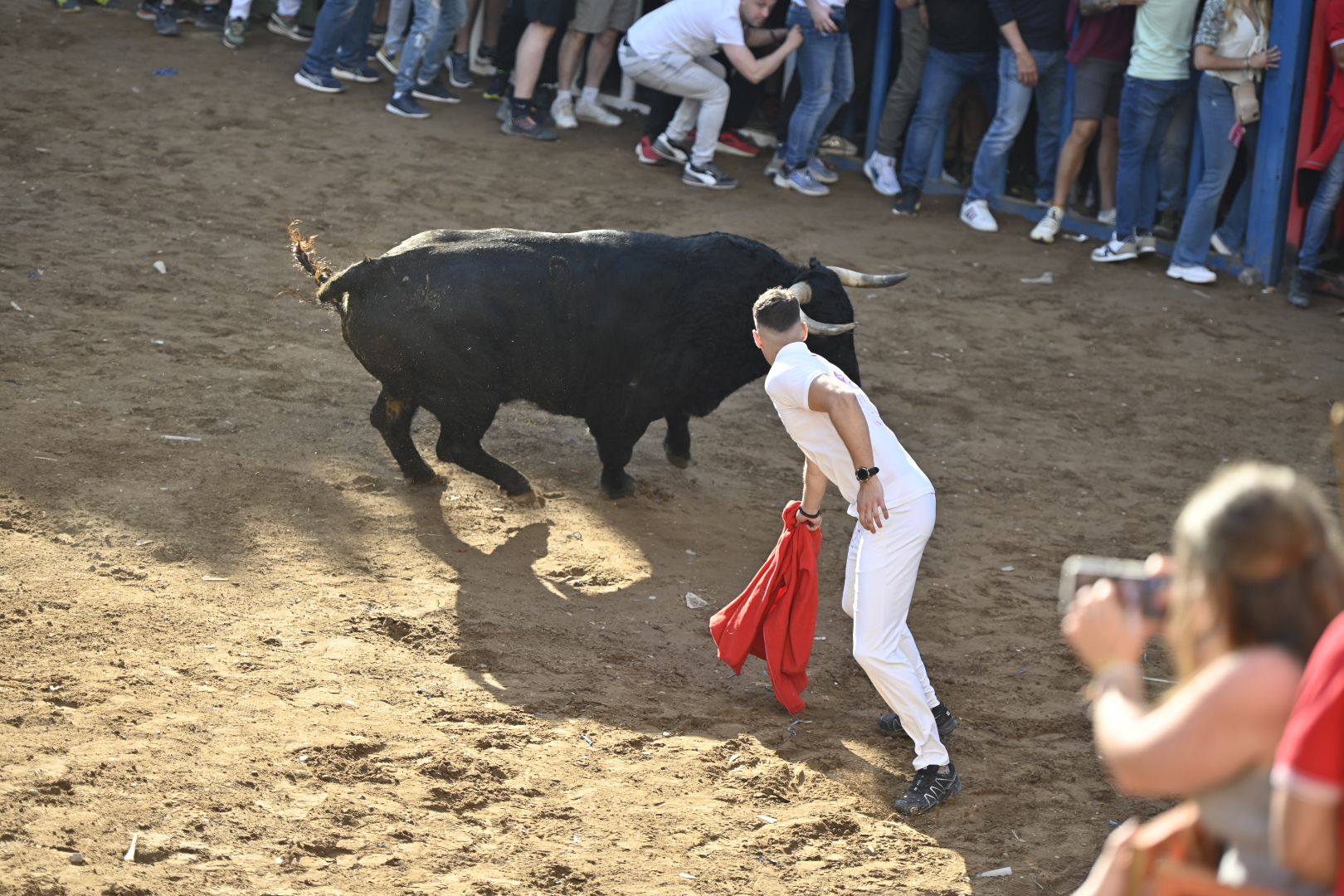 Galería | Primera tarde de toros en Almassora