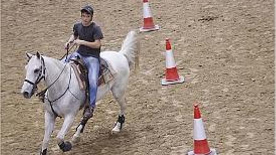 Equus tanca el concurs morfològic i atorga els 17 premis especials