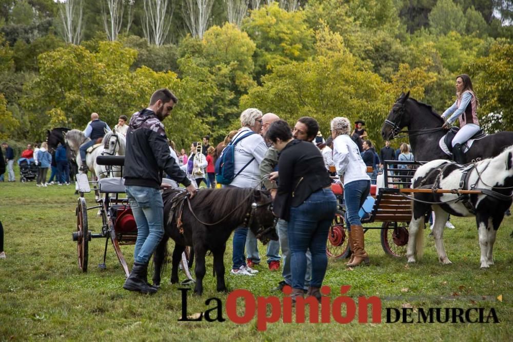 Romería del Bando de los Caballos del Vino de Cara