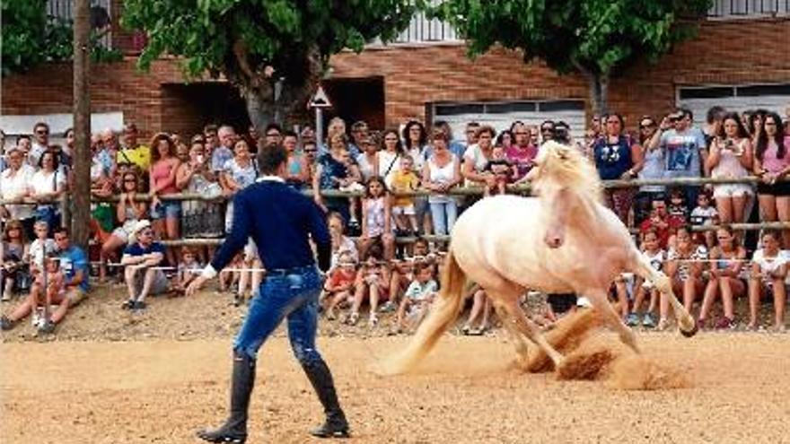 Llagostera celebra la vuitena edició de la Fira del Batre