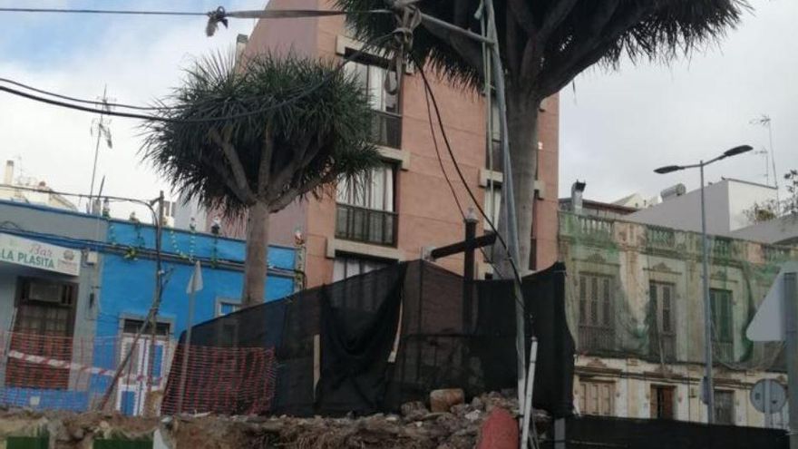 La Asociación de Vecinos El Perenquén teme por los dos dragos &#039;guardianes&#039; de la antigua cruz de los agustinos